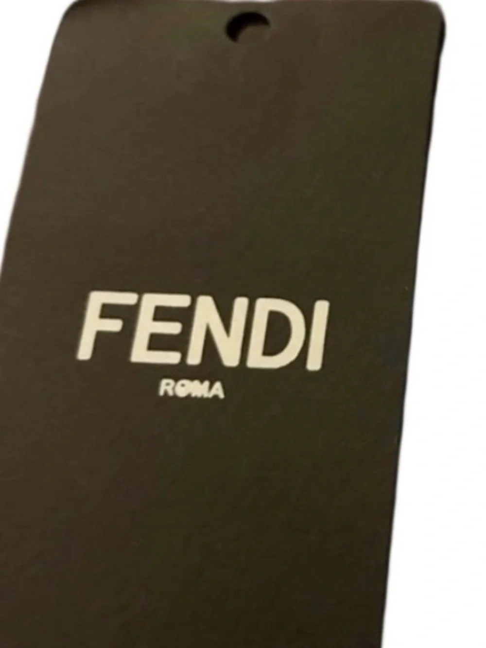 Fendi pink roma