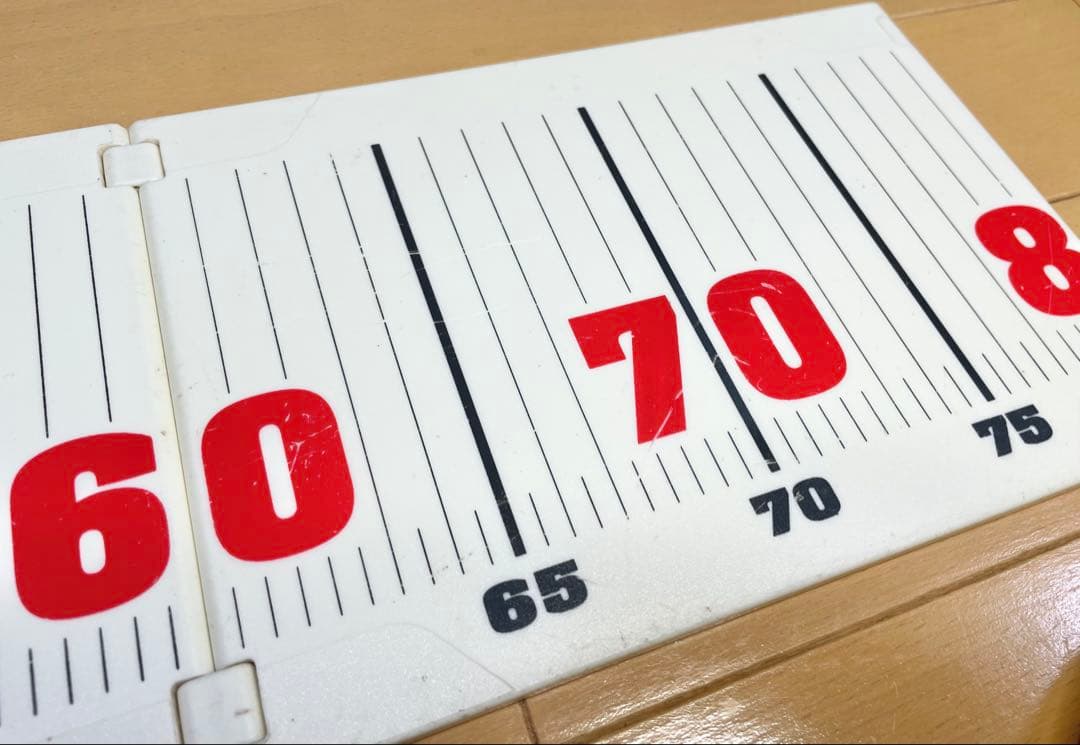 Daiwa Lunker Scale Measuring Tape Folding
